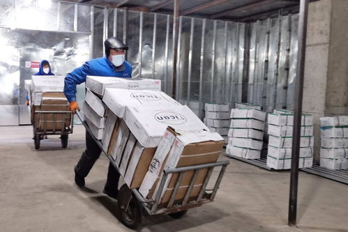 守護“舌尖上的安全” 遼源龍山區設立冷鏈食品監管倉，嚴控日用品銷售安全